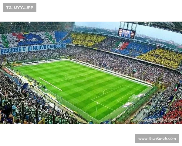 意甲无法建设球场的五大原因及解析