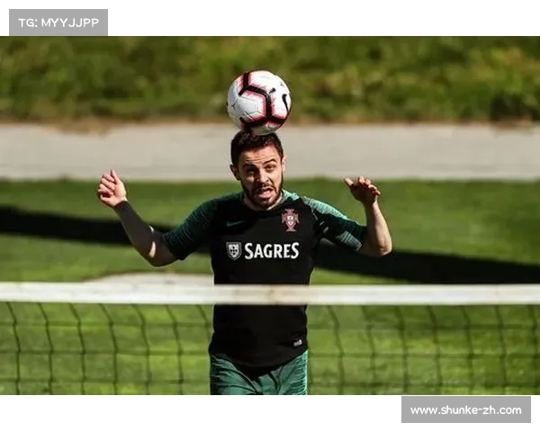 全面掌握葡萄牙足球俱乐部名称的多元学习与识别方法指南全面提升